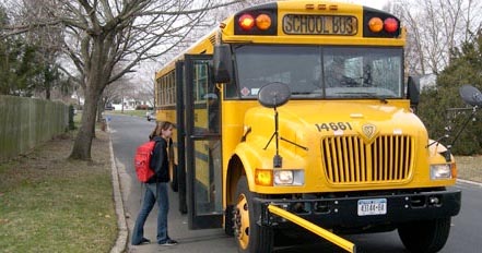 bus
